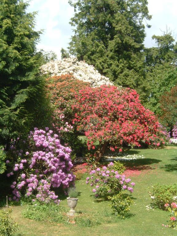 Bruce Castle Bed & Breakfast Brix Екстериор снимка